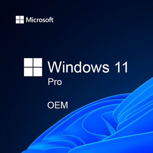 Microsoft Windows 11 Professional OEM